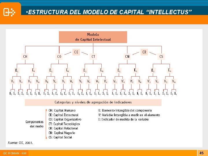 • ESTRUCTURA DEL MODELO DE CAPITAL “INTELLECTUS” |GC ROMAN - KM 45 • ESTRUCTURA DEL MODELO DE CAPITAL “INTELLECTUS” |GC ROMAN - KM 45