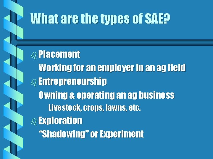 What are the types of SAE? b Placement Working for an employer in an