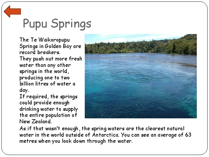 Pupu Springs The Te Waikoropupu Springs in Golden Bay are record breakers. They push
