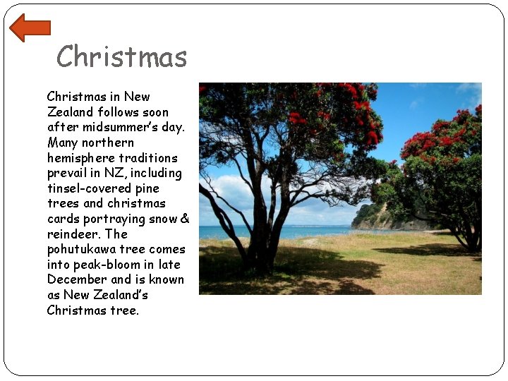 Christmas in New Zealand follows soon after midsummer’s day. Many northern hemisphere traditions prevail