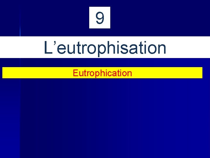 9 L’eutrophisation Eutrophication 