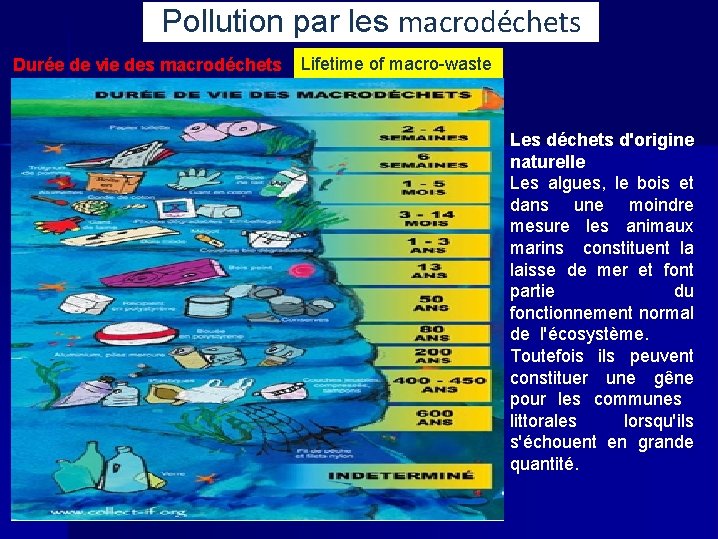 Pollution par les macrodéchets Durée de vie des macrodéchets Lifetime of macro-waste Les déchets