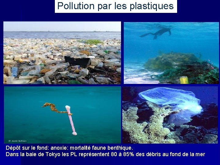 Pollution par les plastiques Dépôt sur le fond: anoxie: mortalité faune benthique. Dans la