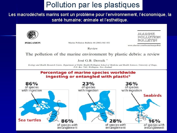 Pollution par les plastiques Les macrodéchets marins sont un problème pour l’environnement, l’économique, la