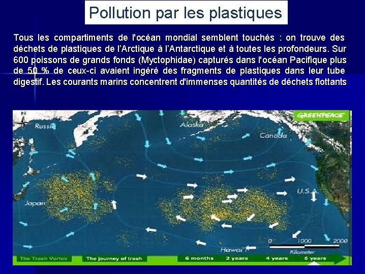 Pollution par les plastiques Tous les compartiments de l'océan mondial semblent touchés : on