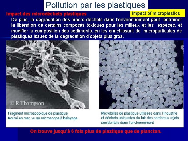 Pollution par les plastiques Impact of microplastics Impact des microdéchets plastiques De plus, la