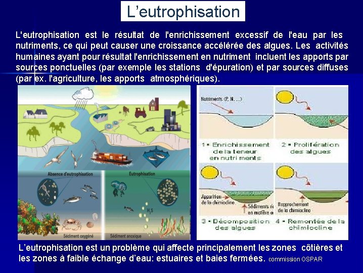 L’eutrophisation L'eutrophisation est le résultat de l'enrichissement excessif de l'eau par les nutriments, ce