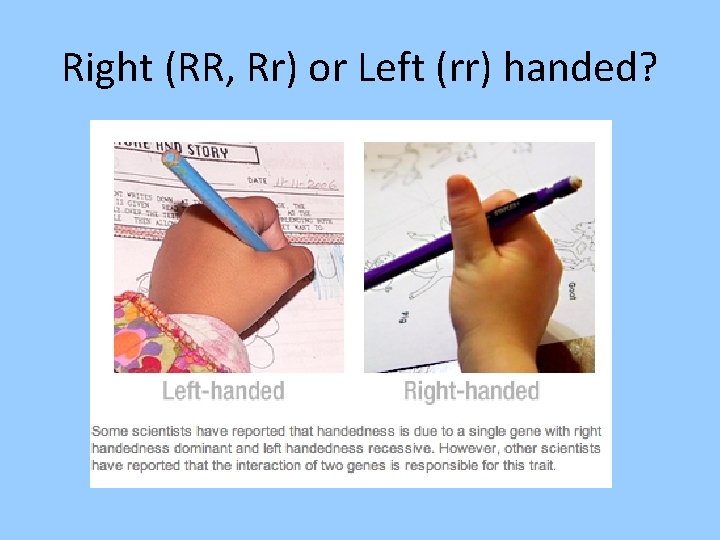Right (RR, Rr) or Left (rr) handed? 