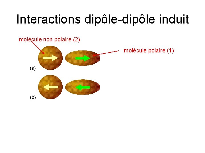 Interactions dipôle-dipôle induit molécule non polaire (2) molécule polaire (1) 