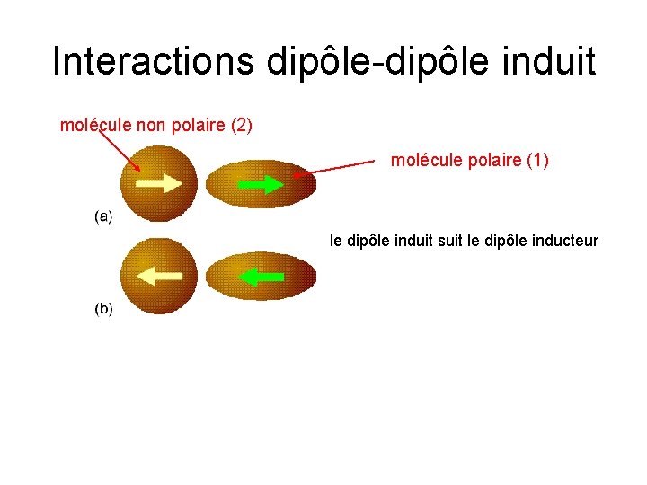 Interactions dipôle-dipôle induit molécule non polaire (2) molécule polaire (1) le dipôle induit suit