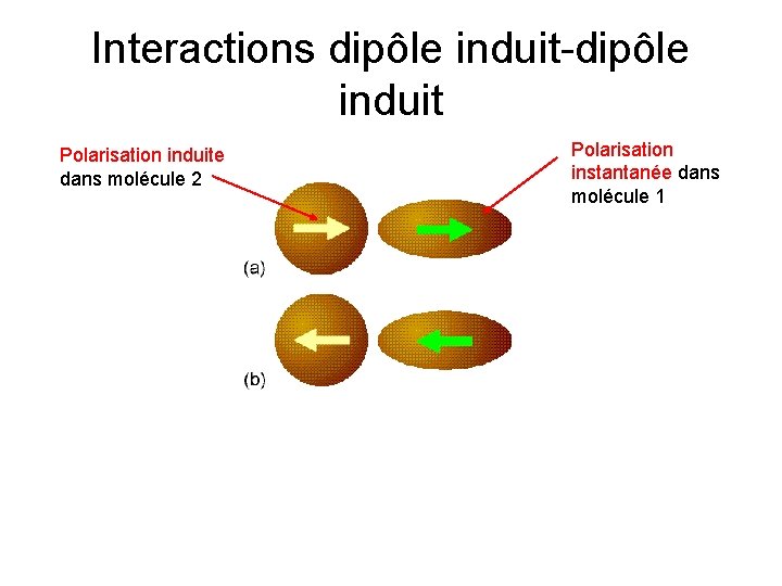 Interactions dipôle induit-dipôle induit Polarisation induite dans molécule 2 Polarisation instantanée dans molécule 1