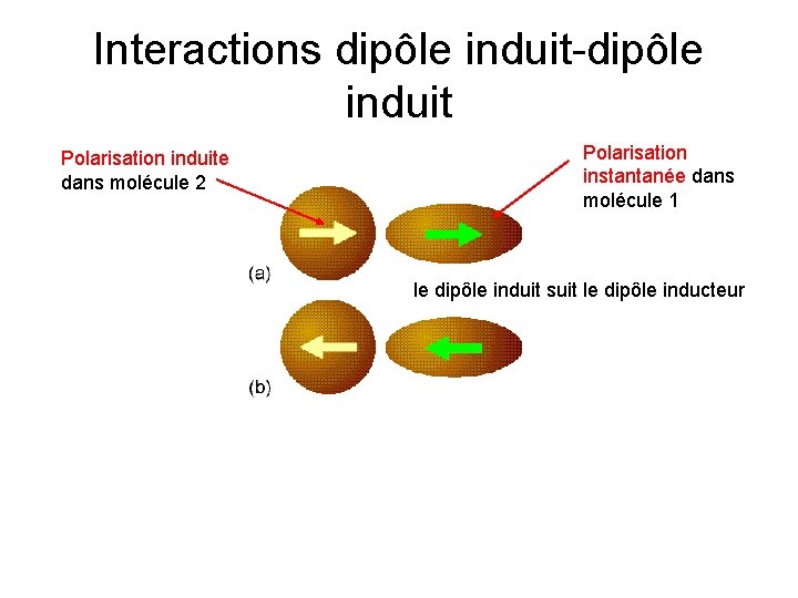 Interactions dipôle induit-dipôle induit Polarisation induite dans molécule 2 Polarisation instantanée dans molécule 1