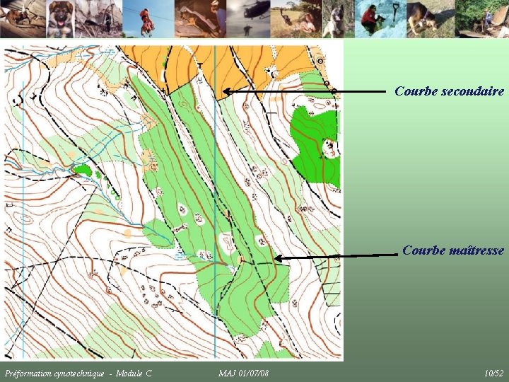 Courbe secondaire Courbe maîtresse Préformation cynotechnique - Module C MAJ 01/07/08 10/52 
