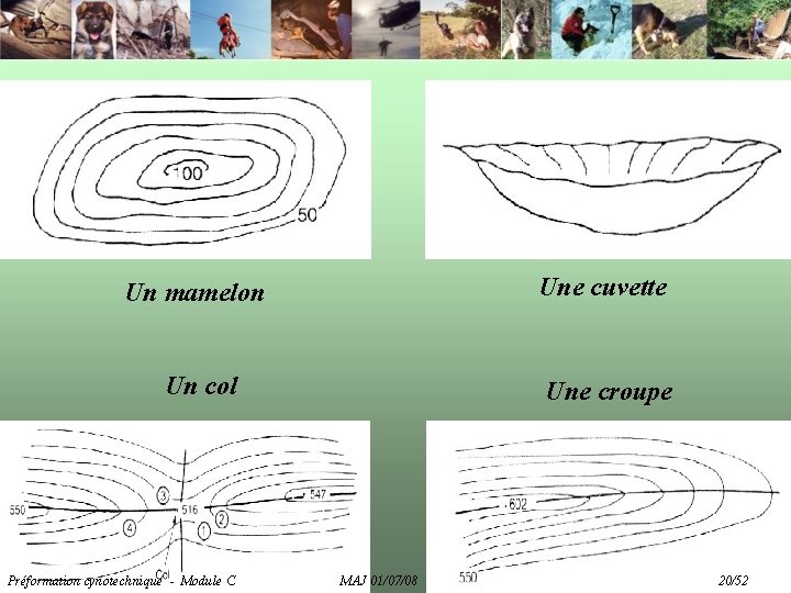 Un mamelon Une cuvette Un col Une croupe Préformation cynotechnique - Module C MAJ