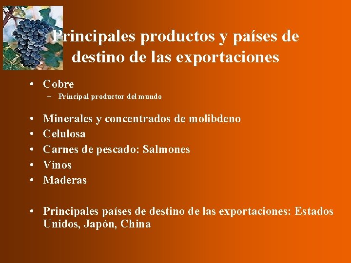 Principales productos y países de destino de las exportaciones • Cobre – Principal productor