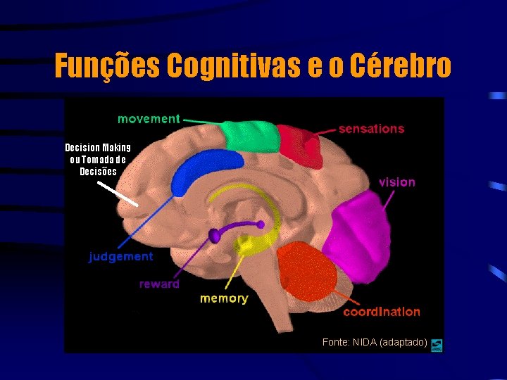 Funções Cognitivas e o Cérebro Decision Making ou Tomada de Decisões Fonte: NIDA (adaptado)