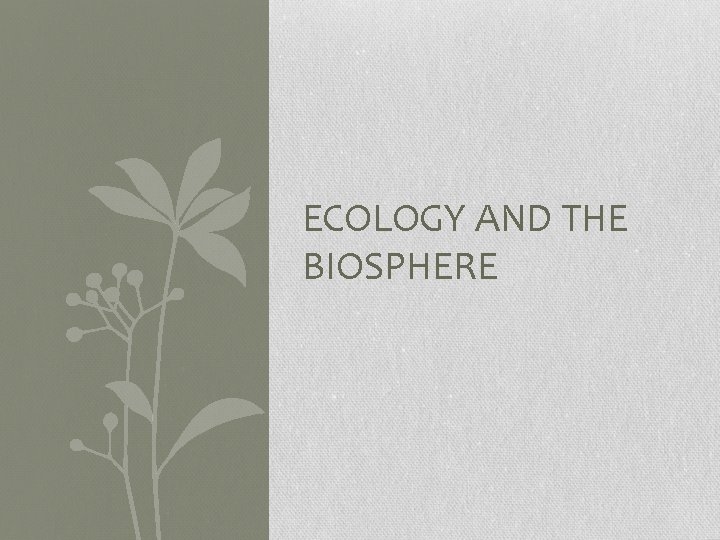 ECOLOGY AND THE BIOSPHERE 