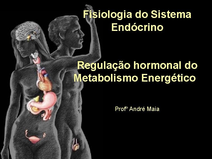 Fisiologia do Sistema Endócrino Regulação hormonal do Metabolismo Energético Profº André Maia 