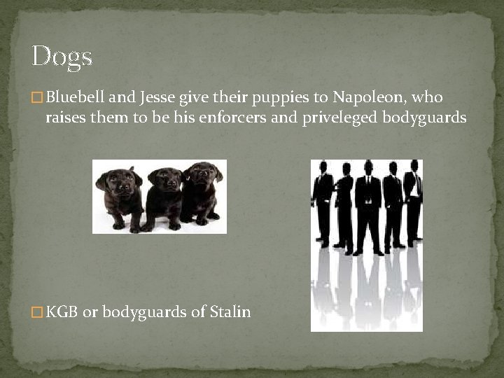 Dogs � Bluebell and Jesse give their puppies to Napoleon, who raises them to