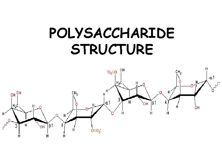 POLYSACCHARIDE STRUCTURE 