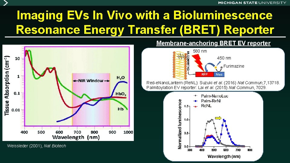Imaging EVs In Vivo with a Bioluminescence Resonance Energy Transfer (BRET) Reporter Membrane-anchoring BRET