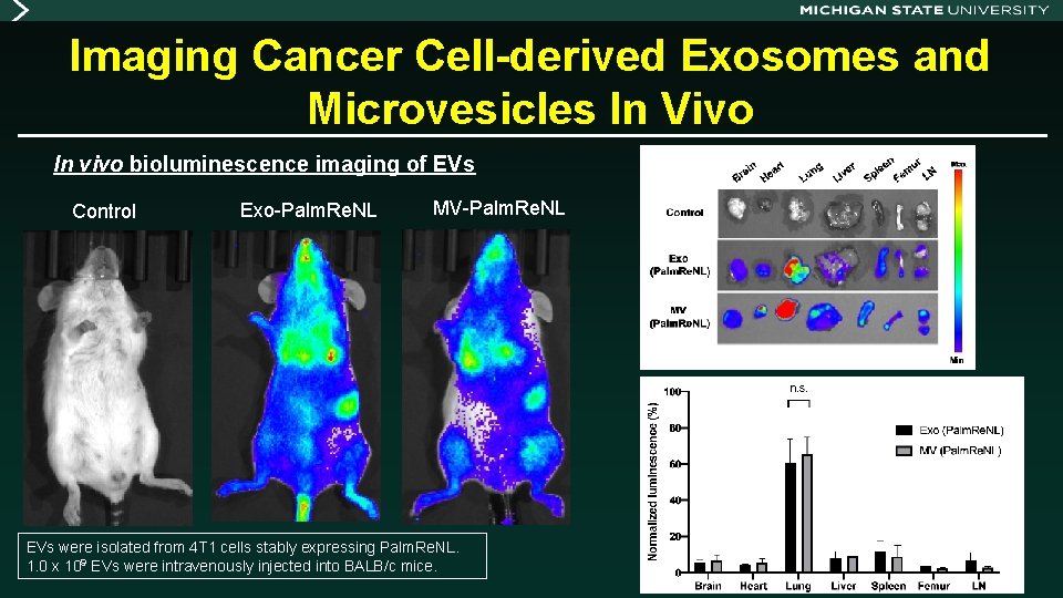 Imaging Cancer Cell-derived Exosomes and Microvesicles In Vivo In vivo bioluminescence imaging of EVs