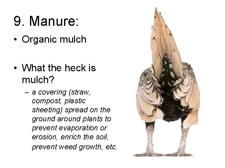 9. Manure: • Organic mulch • What the heck is mulch? – a covering