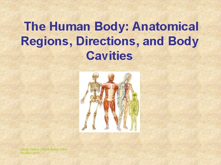 The Human Body: Anatomical Regions, Directions, and Body Cavities Credit: Carlos J Bidot Author