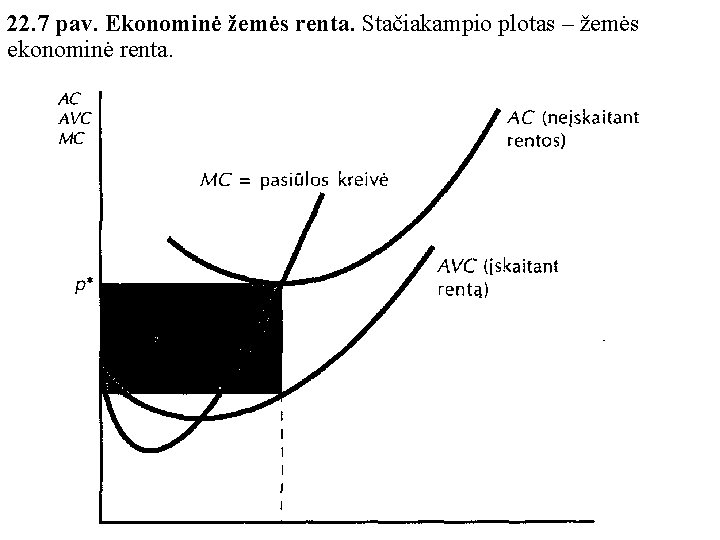 22. 7 pav. Ekonominė žemės renta. Stačiakampio plotas – žemės ekonominė renta. 