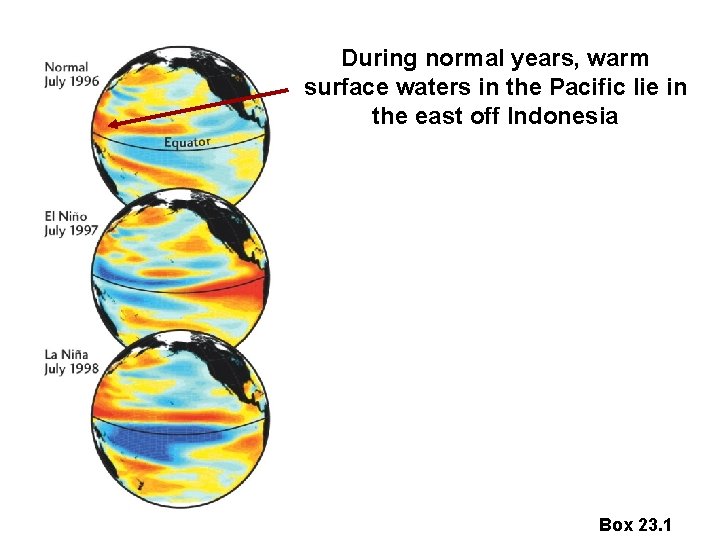 During normal years, warm surface waters in the Pacific lie in the east off