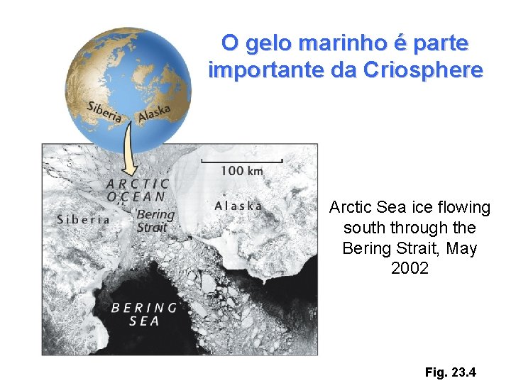 O gelo marinho é parte importante da Criosphere Arctic Sea ice flowing south through