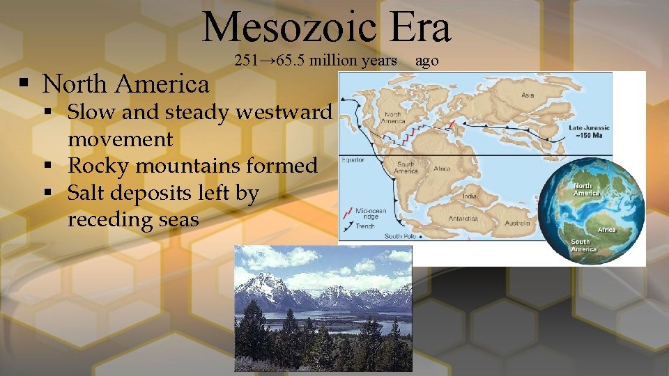 Mesozoic Era § North America 251→ 65. 5 million years § Slow and steady