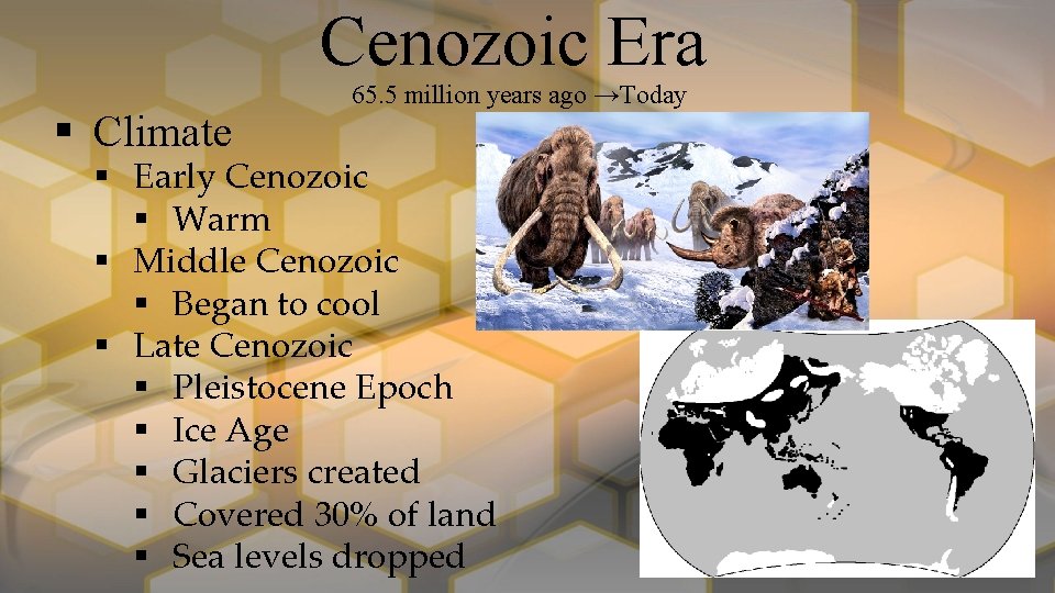 Cenozoic Era § Climate 65. 5 million years ago →Today § Early Cenozoic §