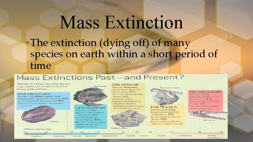 Mass Extinction • The extinction (dying off) of many species on earth within a