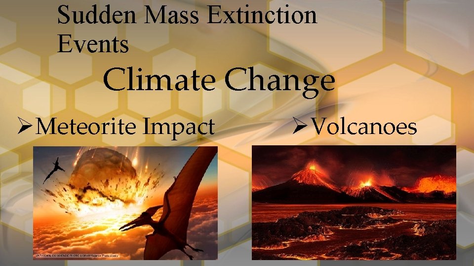 Sudden Mass Extinction Events Climate Change Meteorite Impact Volcanoes 