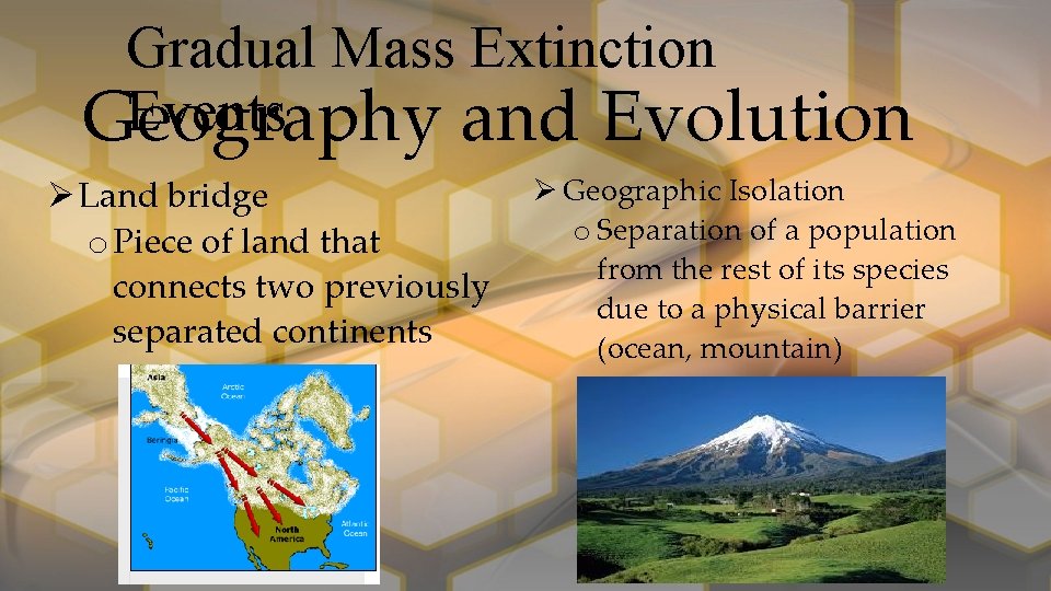 Gradual Mass Extinction Events Geography and Evolution Land bridge o Piece of land that