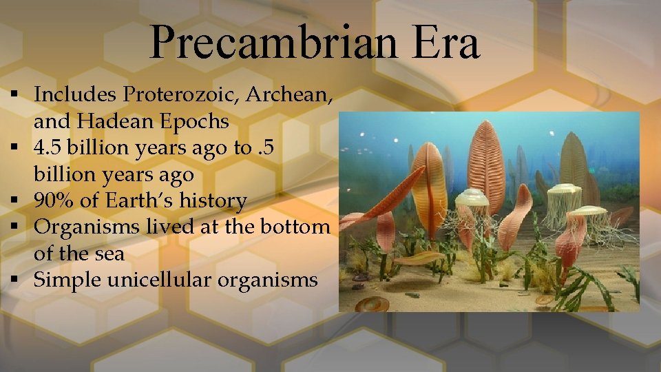 Precambrian Era § Includes Proterozoic, Archean, and Hadean Epochs § 4. 5 billion years