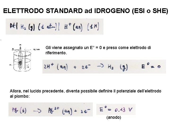 ELETTRODO STANDARD ad IDROGENO (ESI o SHE) Gli viene assegnato un E° = 0