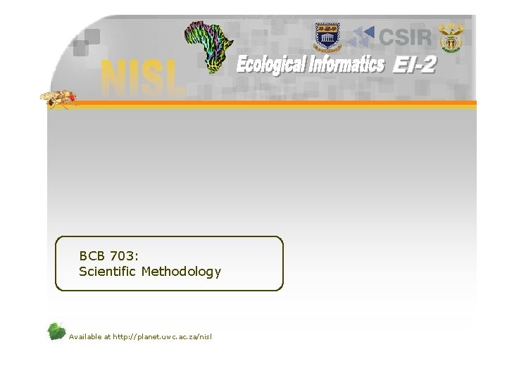 BCB 703: Scientific Methodology Available at http: //planet. uwc. ac. za/nisl 