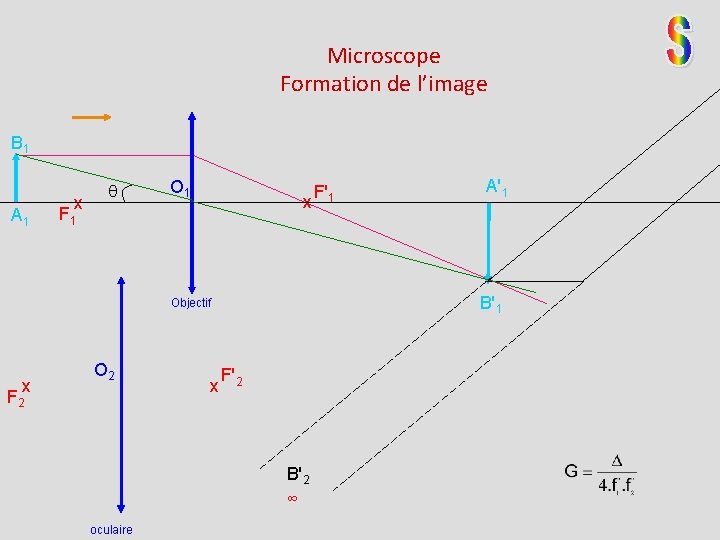 Microscope Formation de l’image B 1 A 1 x F 1 O 1 x