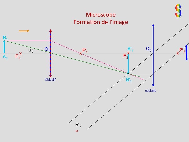 Microscope Formation de l’image B 1 A 1 x O 1 x F 1