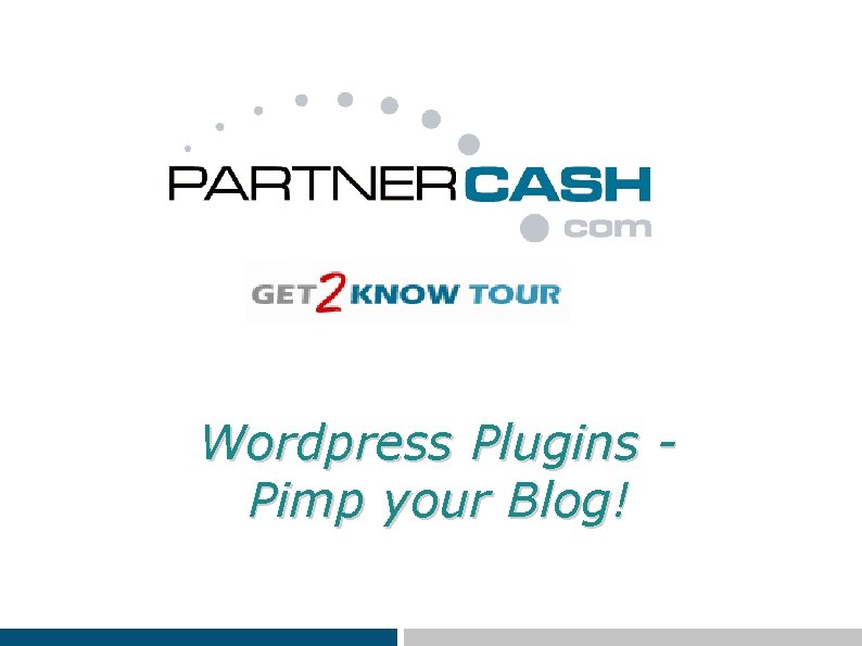 Wordpress Plugins Pimp your Blog! 