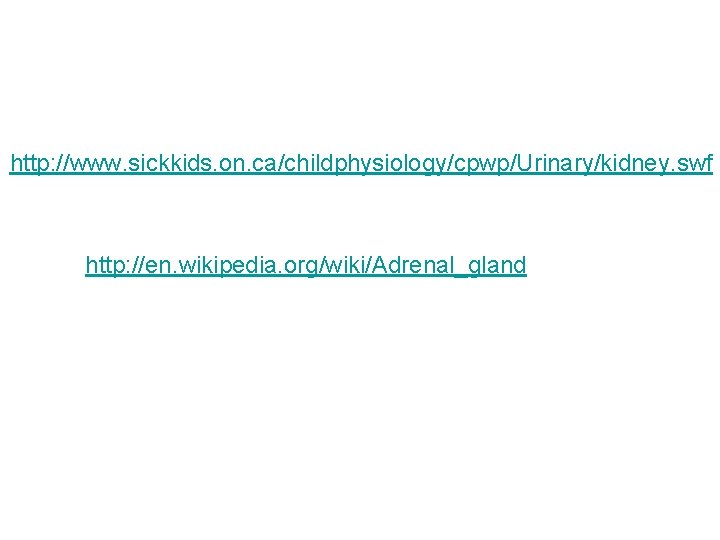 http: //www. sickkids. on. ca/childphysiology/cpwp/Urinary/kidney. swf http: //en. wikipedia. org/wiki/Adrenal_gland 