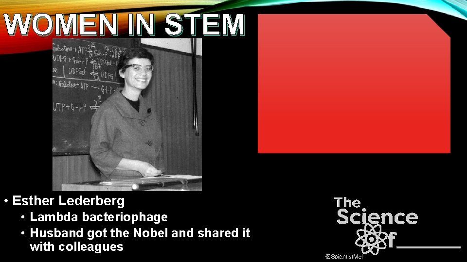 WOMEN IN STEM • Esther Lederberg • Lambda bacteriophage • Husband got the Nobel