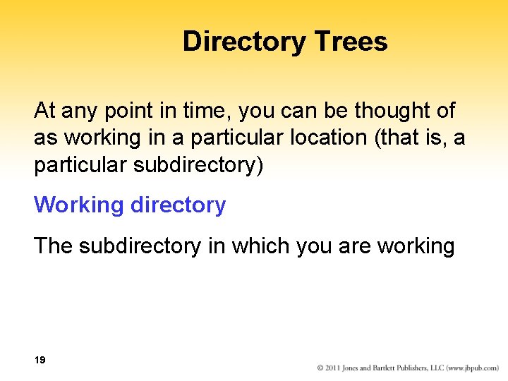 Directory Trees At any point in time, you can be thought of as working