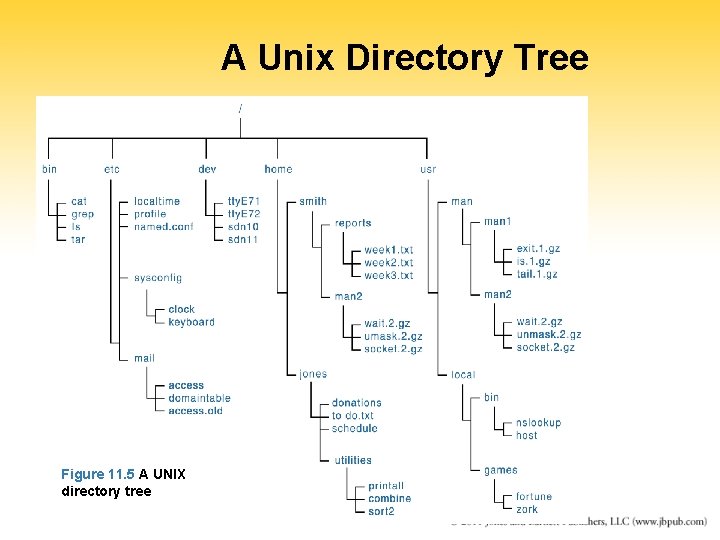 A Unix Directory Tree Figure 11. 5 A Unix directory tree Figure 11. 5