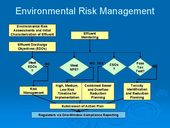 Environmental Risk Management Environmental Risk Assessments and Initial Characterization of Effluent Monitoring Effluent Discharge
