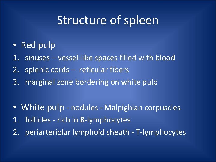 Structure of spleen • Red pulp 1. sinuses – vessel-like spaces filled with blood