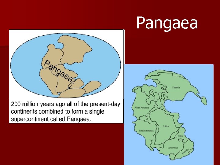 Pangaea 