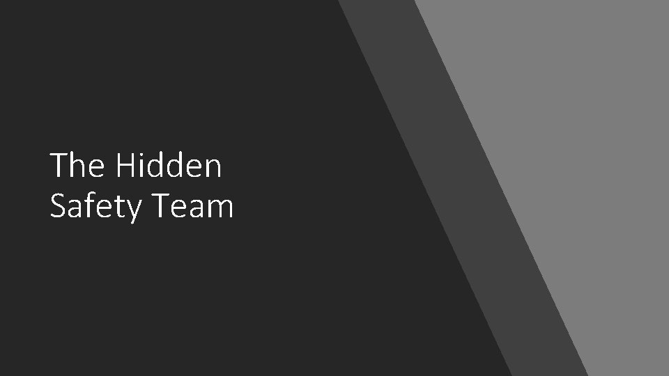 The Hidden Safety Team 